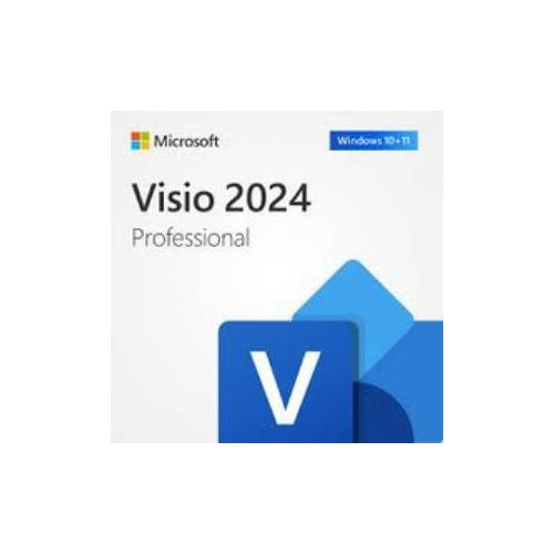 MİCROSOFT VİSİO PRO 2024 - ESD EP2-07110